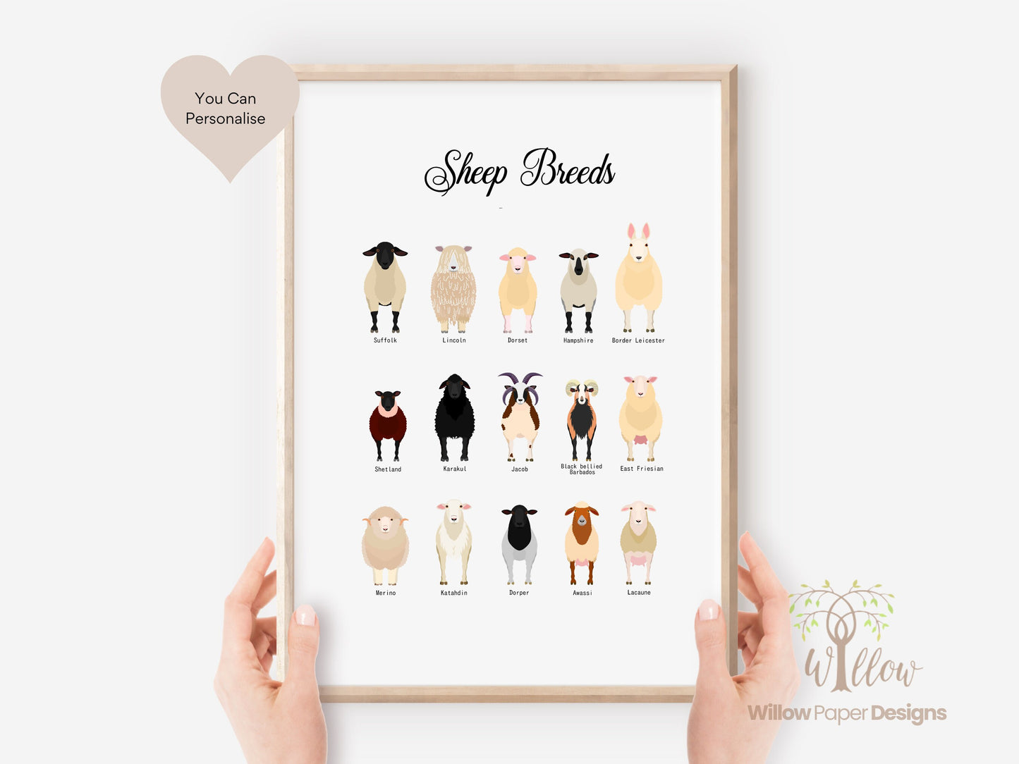 Sheep Breeds Print, Sheep Types Print, Sheep Art Print, Sheep Poster, Gift for Vet, Gift For Farmers, Sheep Illustrations, Sheep Drawing.