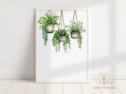 Botanical Prints, Plant Print, Hanging Plant, Wall Art Plant Print, Indoor Plants, Plant Print Décor, Nature Inspired Art, Modern Plants