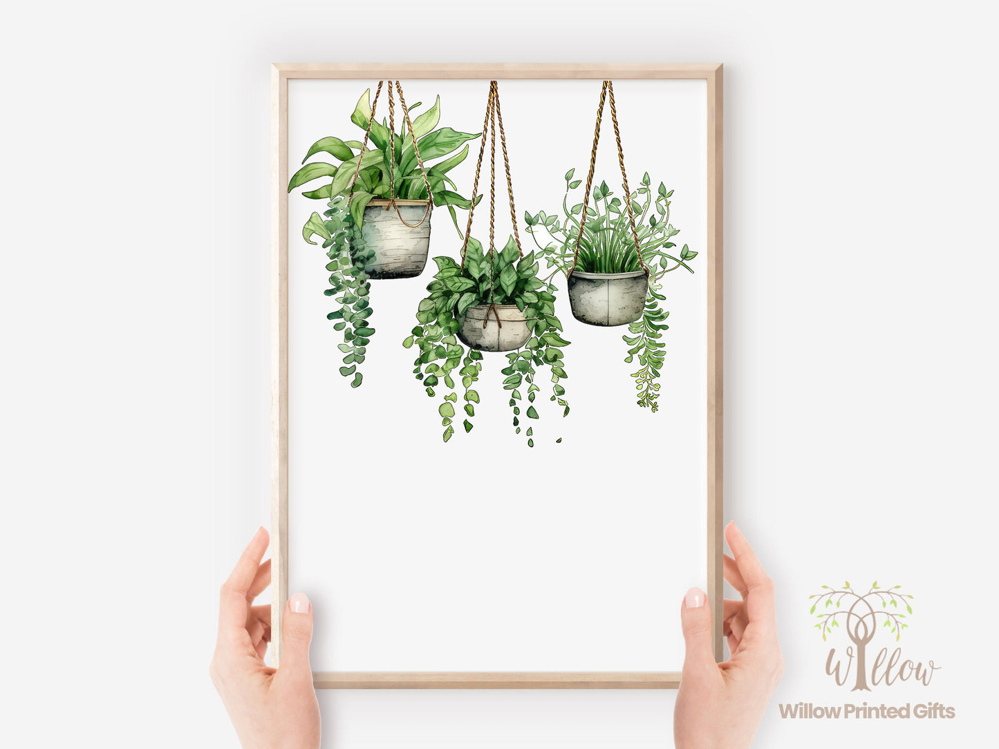 Botanical Prints, Plant Print, Hanging Plant, Wall Art Plant Print, Indoor Plants, Plant Print Décor, Nature Inspired Art, Modern Plants