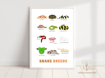 Snake Breeds Poster, Snake Species Print, Snake Types Illustrations, Snake Drawing,  Animal Print, Animal Pets Poster