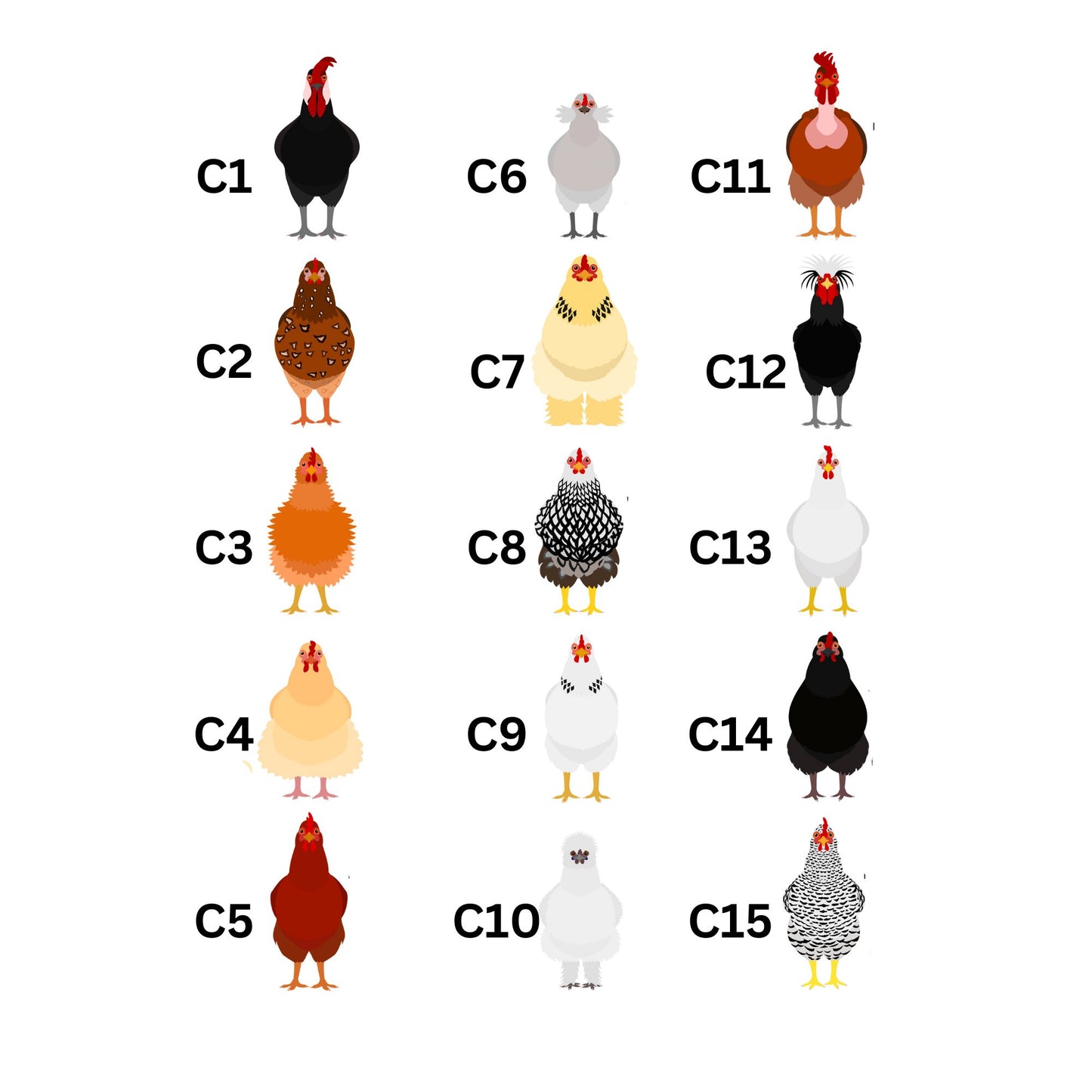 Chicken Family Print, Animal Family Print, Chicken Breeds Poster, Chicken Types Illustrations, Chicken Drawing,  Animal Print