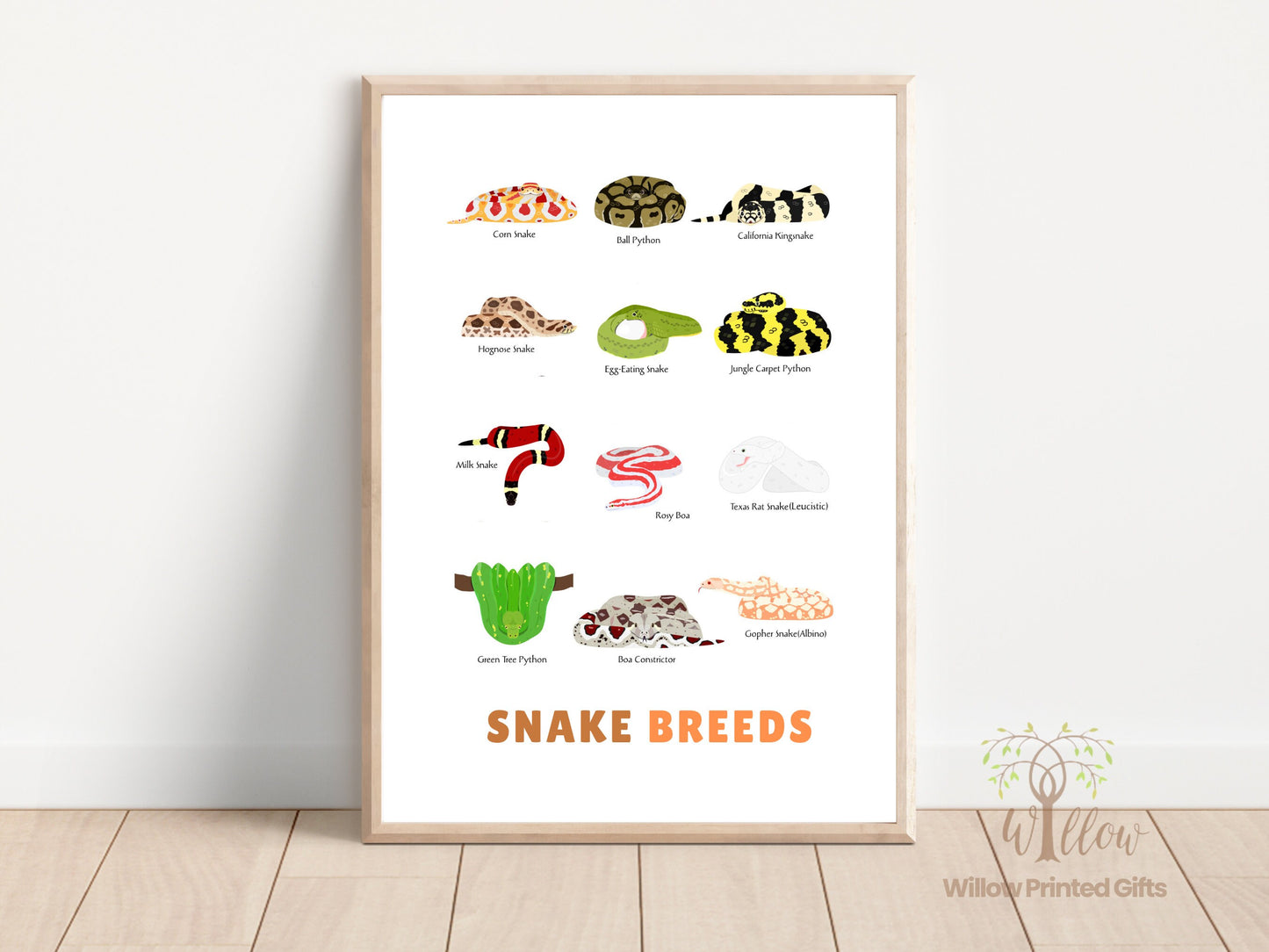 Snake Breeds Poster, Snake Species Print, Snake Types Illustrations, Snake Drawing,  Animal Print, Animal Pets Poster