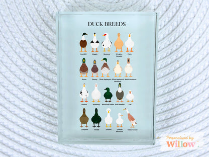 Duck Breads Gift, Duck Lover Gift, Farm House Décor, Crystal Glass Block Plaque.