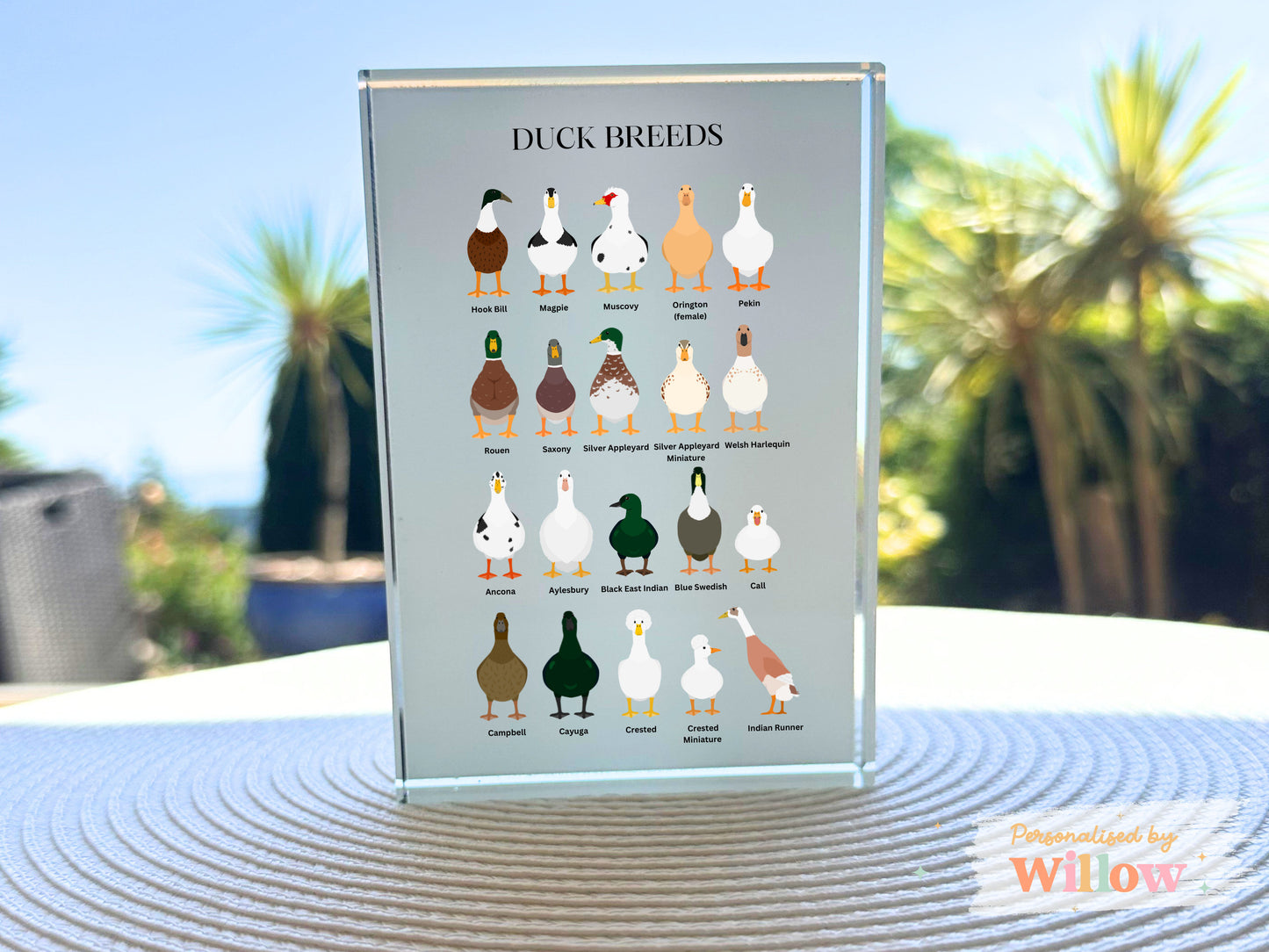 Duck Breads Gift, Duck Lover Gift, Farm House Décor, Crystal Glass Block Plaque.